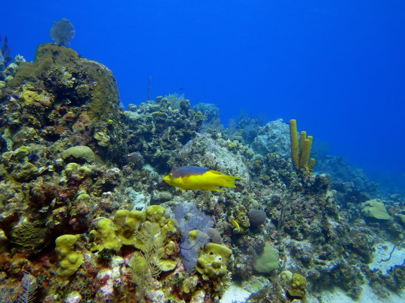 048 Governors Reef IMG_5169.jpg